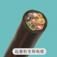 起重機專業電纜